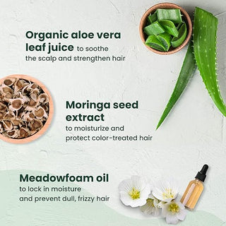 HERBATINT NORMALIZING SHAMPOO ALOE VERA 260ML